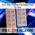 Oral Jelly 100Mg Kamagra How To Use 27